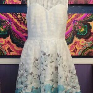 Everly ~ Sz M ~ Sleeveless Basketweave Dress ~ NWT